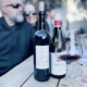 willow wines